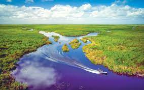 Everglades National Park